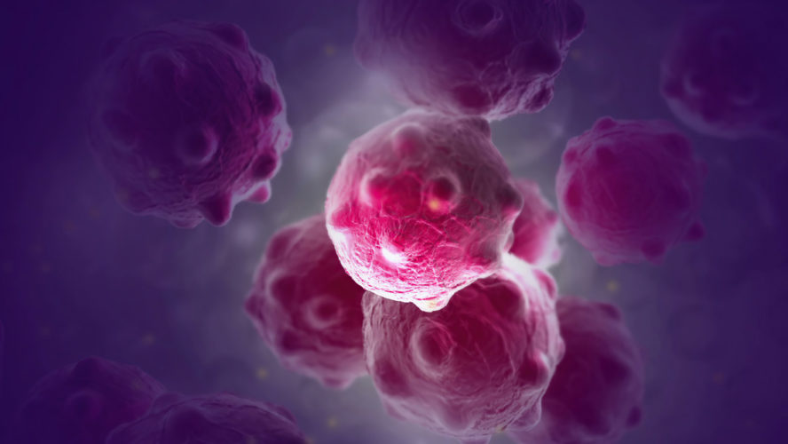 Close image of bunch purple cancer cells