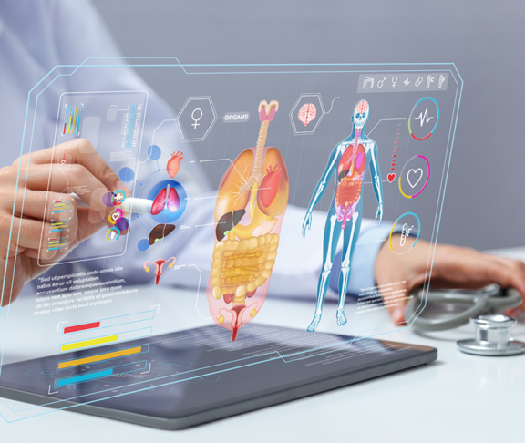 Doctor analyzes lungs on virtual screen